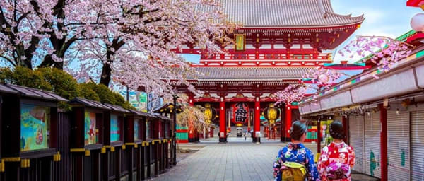 9-Hour Tokyo Heritage Tour with Street Food and City Views