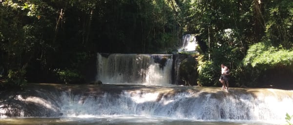 8-Hour Black River and YS Falls Tour with Pelican Bar