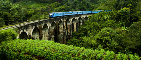 8-Day Sri Lanka Heritage and Nature Tour with Safari and Hill Country