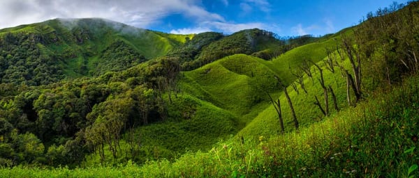 3-Day Dzukou Valley Trek from Dimapur with Angami Village Stay