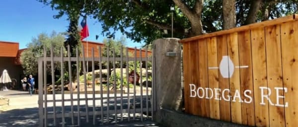 9-Hour Casablanca Valley Wine Tour with Organic and Boutique Tastings