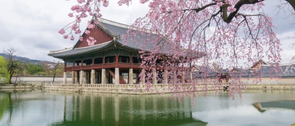 Full-Day Customizable Seoul Tour with Private Guide and Photos
