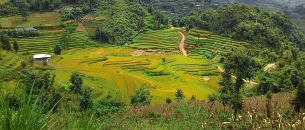 3-Day Trek in Bắc Hà with Village Homestays and Lung Phinh