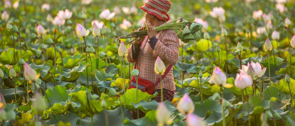7-Hour Kampong Phluk Village Tour in Siem Reap with Tonle Sap Sunset