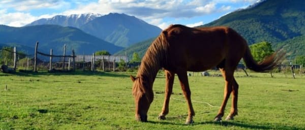 6-Day Trekking Tour from Pankisi to Tushetis Omalo