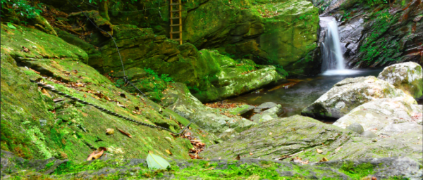 8-Hour Bạch Mã National Park Trek from Hue with Five Lakes Swim