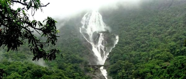 8-Hour Dudhsagar Falls and Spice Plantation Tour with Elephant Ride