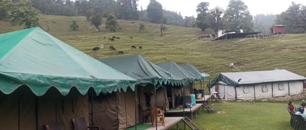 4-Day Chopta and Tungnath Trek from Haridwar with Ganga Aarti