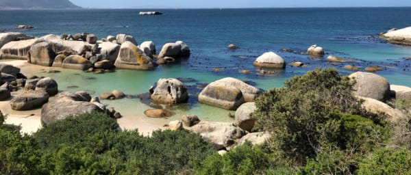 10-Hour Cape Peninsula Tour with Cape Point and Boulders Beach