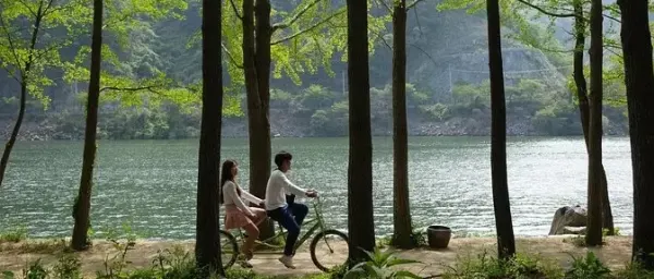 Full-Day Nami Island Tour from Seoul with Petite France and Gardens