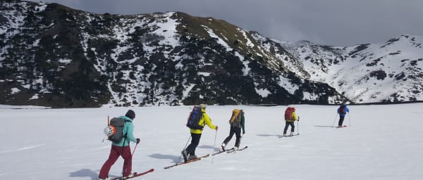 4-Hour Ski Touring Excursion in Chile through Araucaria Forest
