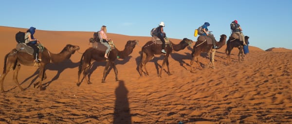5-Day South Morocco Exploration Tour with Erg Chebbi Camel Trek