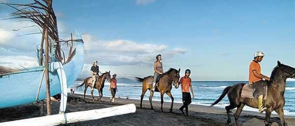 5-Hour Bali Beach Horse Riding Tour with Lunch and Hotel Transfers