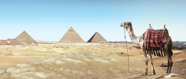 8-Hour Cairo and Giza Tour with Museum, Coptic Cairo and Pyramids