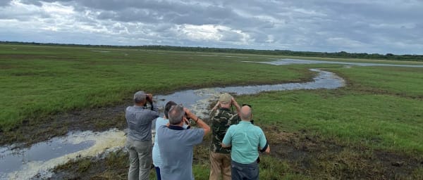 8-Day Durban to Maputo Coastal Tour with Safari and Snorkelling