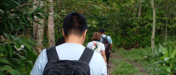 1-Day Coffee Farm Tour in Sumatra with Farm-to-Cup Experience