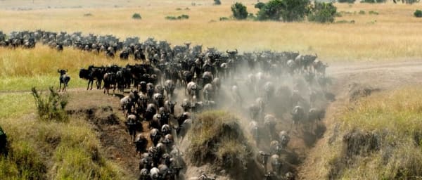 3-Day Masai Mara Safari from Nairobi with Great Rift Valley Views