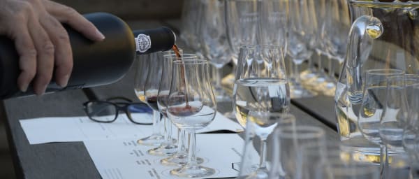 8-Hour Wine Tasting Tour in Stellenbosch, Franschoek and Paarl