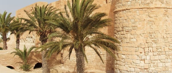 9-Day Tunisia Heritage and Desert Adventure from Tunis to Hammamet