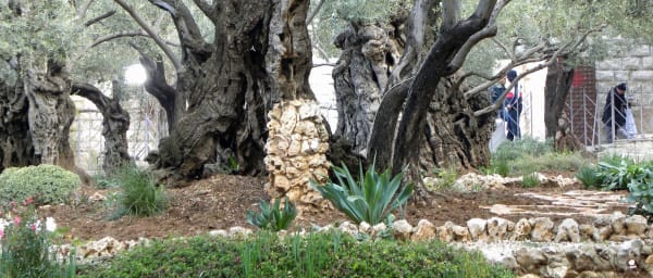 Full-Day Jerusalem Walking Tour from Tel Aviv with Old City sites