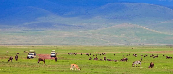 6-Day Tanzania Safari through Tarangire, Serengeti, Ngorongoro and Manyara