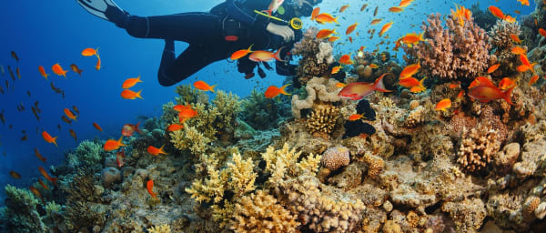 1-Hour Red Sea Shore Diving Tour in Jeddah with Certified Instructors