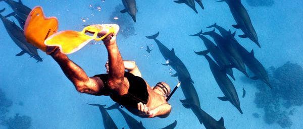4-Day Sharm El Sheikh Safari Tour with Ras Mohammed and Tiran
