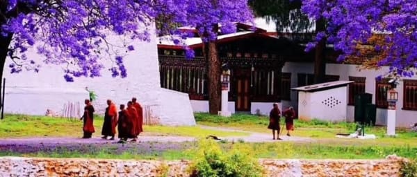 3-Day Thimphu and Paro Tour with Tiger's Nest Monastery Hike