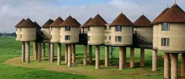 3-Day Tsavo East and Tsavo West Safari with Mzima Springs