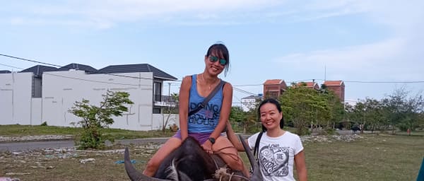 4-Hour Hoi An Countryside Bicycle Tour with Buffalo and Basket Boat