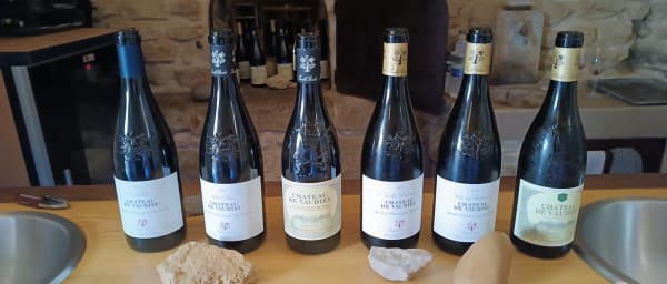 8-Hour Cote de Provence Wine Tour from Aix-en-Provence