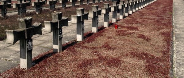 4-Hour Palmiry War Cemetery and Museum Tour from Warsaw