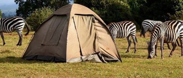 5-Day Northern Circuit Wildlife Camping Safari with Serengeti and Ngorongoro
