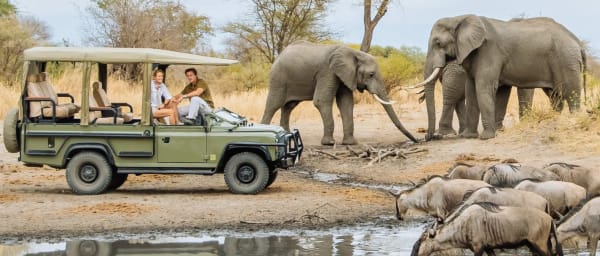 4-Day Serengeti Fly-in Safari from Zanzibar with Moyo Tented Camp
