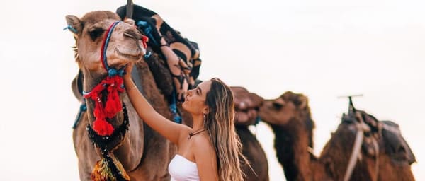2-Day Zagora Desert Safari from Marrakech with Ait Ben Haddou