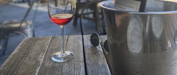 9-Hour Valle de Guadalupe Wine Tour with Tastings at Top Wineries