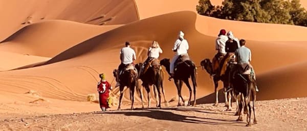 1-Day Camel Trekking in Merzouga with Luxury Desert Camp Stay