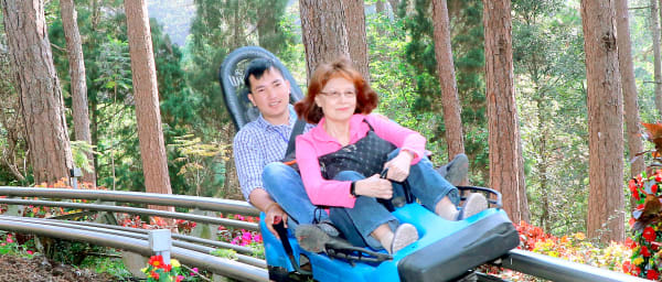 1-Day Private Da Lat City Tour with Datanla Falls and Crazy House