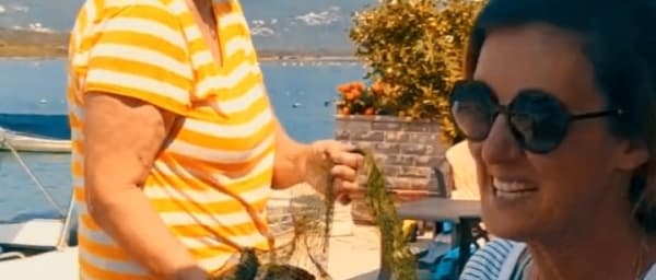 5-Hour Speedboat Tour of Kotor Bay with Oysters and Porto Montenegro