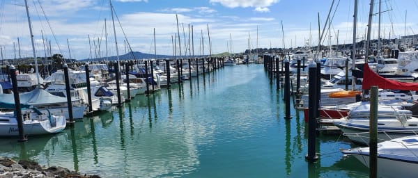 5-Hour East Auckland Tour with Howick Village and Half Moon Bay