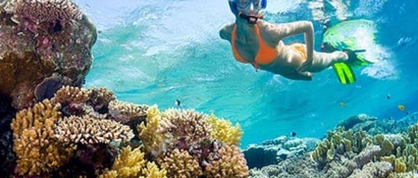 10-Hour Hurghada Snorkelling Excursion from Safaga Port with Dolphins