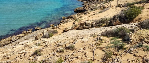 7-Hour Vendicari Reserve Tour in Syracuse with Noto and Tuna Factory