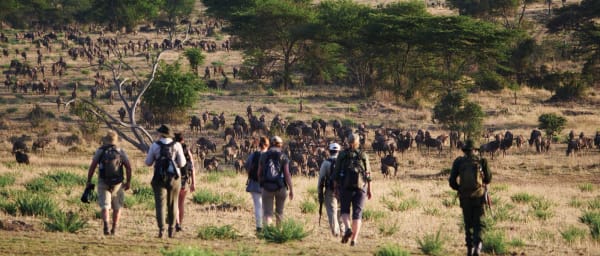 4-Day Serengeti Big Five Safari with Balloon Ride and Migration