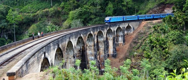 5-Day Sri Lanka Sightseeing Tour from Dambulla with Ella Train Ride