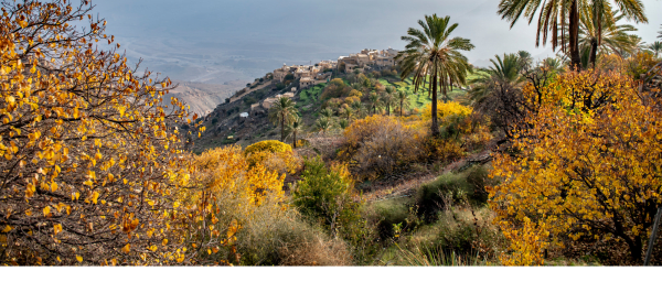 10-Hour Nakhal and Wakan Village Tour from Muscat with Fort and Hike