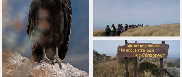10-Hour Quebrada del Condorito National Park Tour with Bird Watching