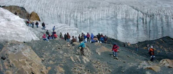 1-Day Pastoruri Glacier Hiking Tour from Huaraz via Patococha