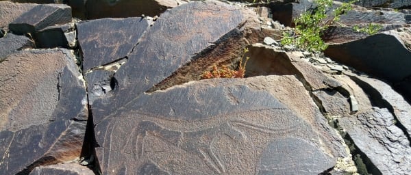 8-Hour Tamgaly Rock Art Tour from Almaty with UNESCO Petroglyphs