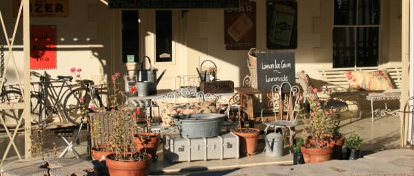 5-Day Garden Route and Little Karoo Tour with Prince Albert