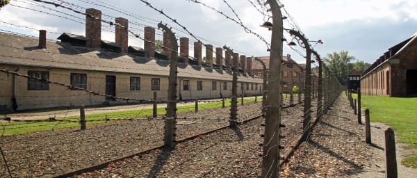 8-Hour Auschwitz-Birkenau Museum Tour from Kraków with Expert Guide